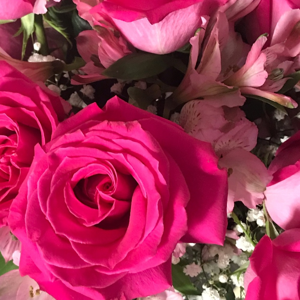 Meet your Posher, Nikki